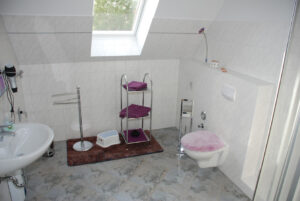 Ferienwohnung "Fliedertraum", Badezimmer - Tourismushof Clewes Grün