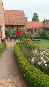 Clewes Grün - Terrasse