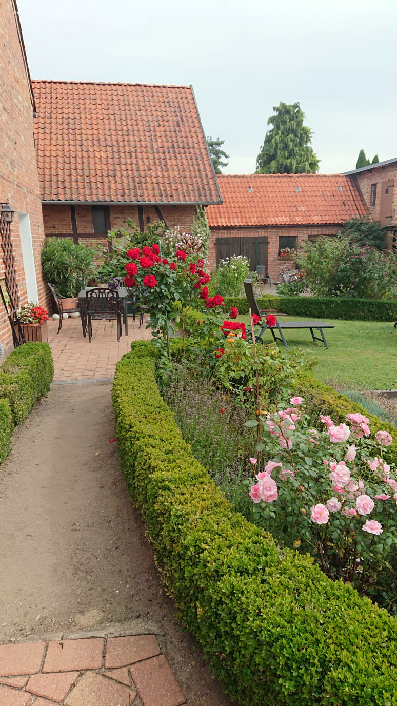 Clewes Grün - Terrasse