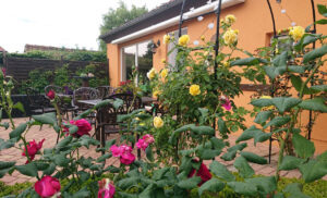 Clewes Grün - Terrasse mit Rosen