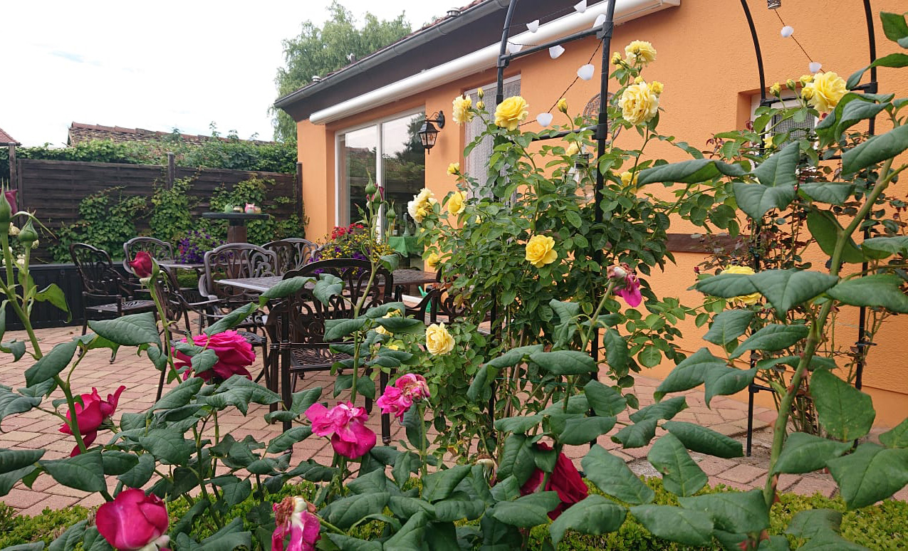 Clewes Grün - Terrasse mit Rosen